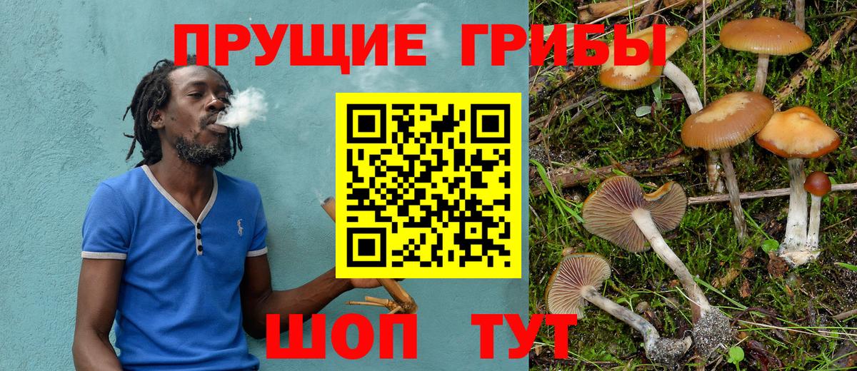 Псилоцибиновые грибы Cubensis  Вход с VPN  где купить наркоту  Карпинск 